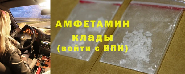 крисы Дедовск