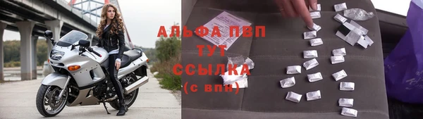 стаф Россошь