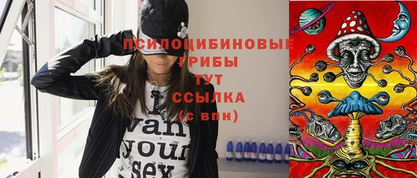 стаф Россошь