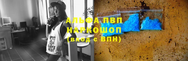 стаф Россошь