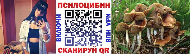 Псилоцибиновые грибы ЛСД  даркнет как зайти  Болохово  где купить наркоту 